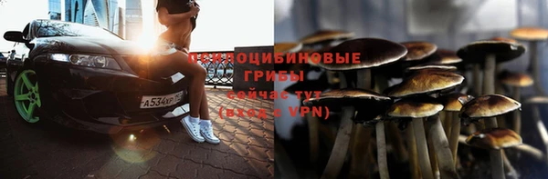 спиды Гусиноозёрск