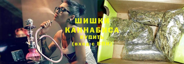 бошки Гусев