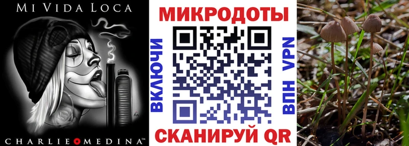 Галлюциногенные грибы Cubensis  Купить  Щигры 
